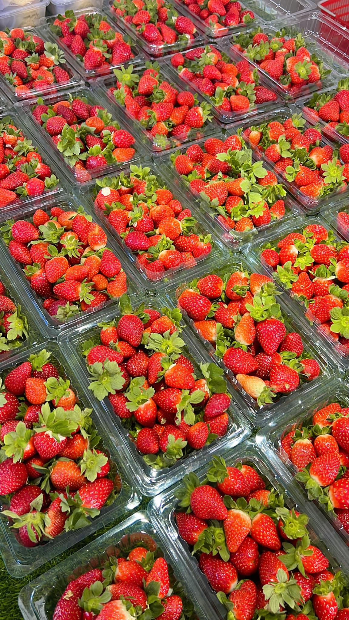 Strawberry-cup